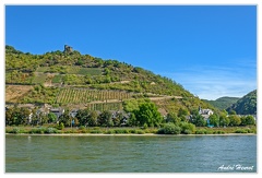 Bingen-Bacharach-en-bateau Lorch Ruine-Nollig DSC7493