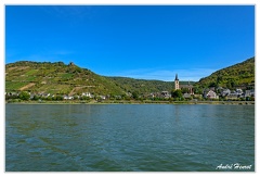 Bingen-Bacharach-en-bateau Lorch Ruine-Nollig DSC7495