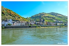 Bingen-Bacharach-en-bateau Lorchhausen DSC7482