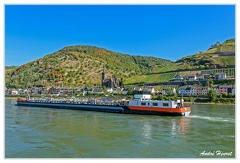 Bingen-Bacharach-en-bateau Lorchhausen DSC7489