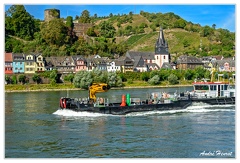 Bingen-Bacharach-en-bateau Niederheimbach Heimburg DSC7448