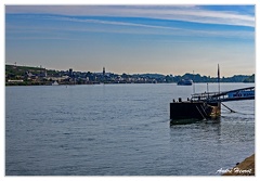 Bingen-Bacharach-en-bateau Rudesheim DSC7382