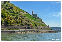 Bingen-Bacharach-en-bateau Ruine-Ehrenfels DSC7587