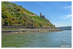 Bingen-Bacharach-en-bateau Ruine-Ehrenfels DSC7588