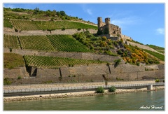 Bingen-Bacharach-en-bateau Ruine-Ehrenfels DSC7589