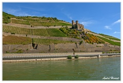 Bingen-Bacharach-en-bateau Ruine-Ehrenfels DSC7591