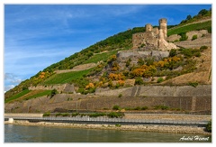 Bingen-Bacharach-en-bateau Ruine-Ehrenfels DSC7594