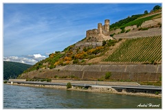 Bingen-Bacharach-en-bateau Ruine-Ehrenfels DSC7595