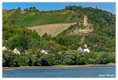 Bingen-Bacharach-en-bateau Ruine-Furstenberg Rheindiebach DSC7453