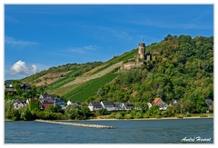 Bingen-Bacharach-en-bateau Ruine-Furstenberg Rheindiebach DSC7454