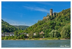 Bingen-Bacharach-en-bateau Ruine-Furstenberg Rheindiebach DSC7455