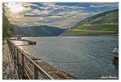 Bingen DSC7356
