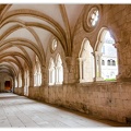 Mosteiro-de-Alcobaca_DSC_0666_.jpg