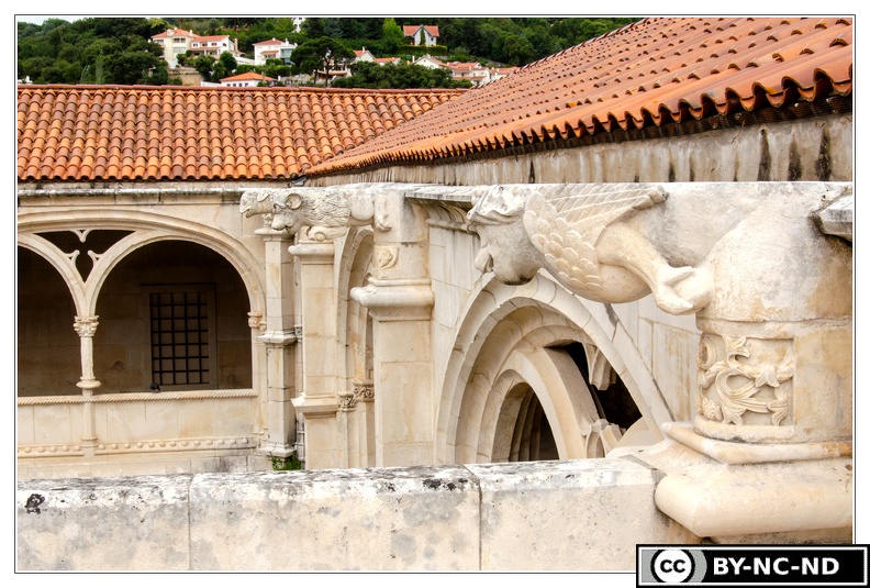 Mosteiro-de-Alcobaca_DSC_0695_.jpg