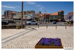 Peniche DSC 0529