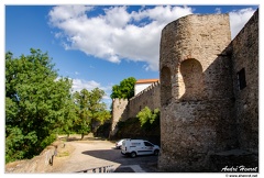 Abrantes Castelo DSC 0997