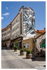 Covilha DSC 0126