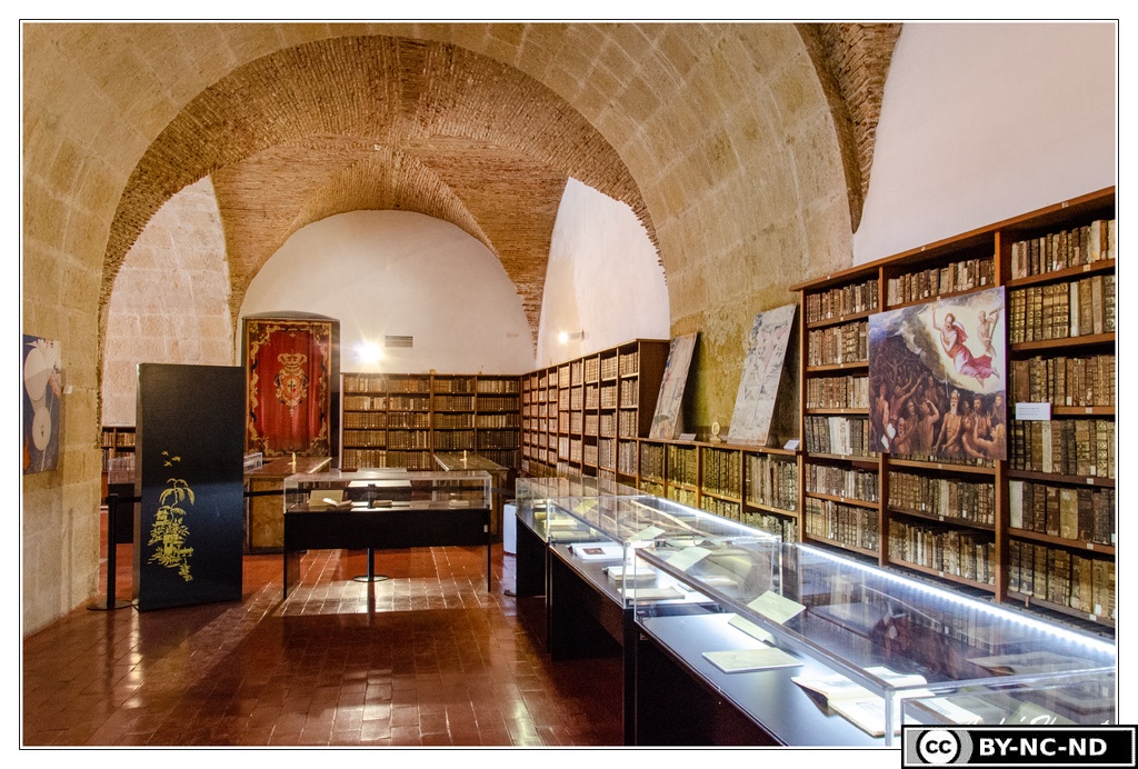 Coimbra Universite Bibliotheque DSC 0432
