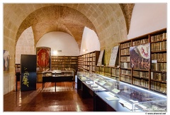 Coimbra Universite Bibliotheque DSC 0432