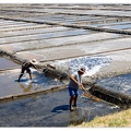 Aveiro_Ecomuseu-Marinha-da-Troncalhada_DSC_0814.jpg