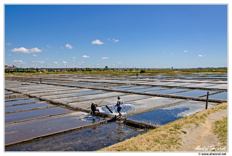 Aveiro_Ecomuseu-Marinha-da-Troncalhada_DSC_0821.jpg