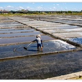 Aveiro_Ecomuseu-Marinha-da-Troncalhada_DSC_0848.jpg