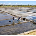 Aveiro_Ecomuseu-Marinha-da-Troncalhada_DSC_0855.jpg