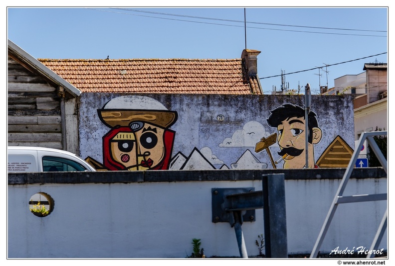 Aveiro Sur-le-bateau DSC 0732