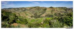 Haute-Vallee-du-Douro DSC 0134-44