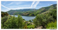 Haute-Vallee-du-Douro DSC 0100-04