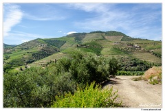 Haute-Vallee-du-Douro DSC 0105