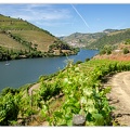 Haute-Vallee-du-Douro_DSC_0107.jpg