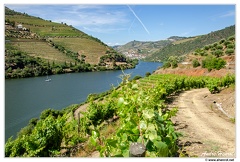 Haute-Vallee-du-Douro DSC 0107