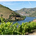 Haute-Vallee-du-Douro_DSC_0109.jpg