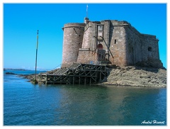 Baie-de-Morlaix Chateau-du-Taureau DSCN2918