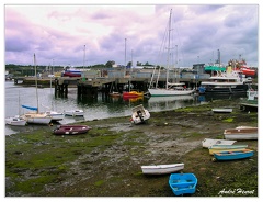 Concarneau DSCN3353