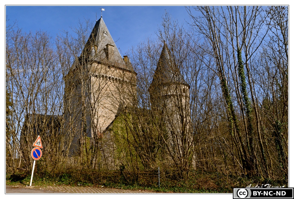 Hollensfeld Chateau DSC 2383