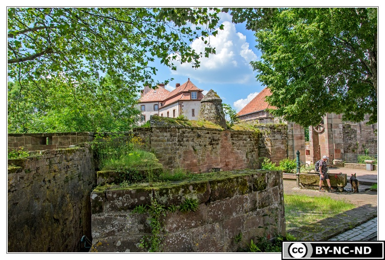 Burg-Lutzelstein_La-Petite-Pierre_Rando_DSC_0242.jpg
