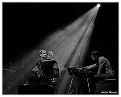 Vincent-Peirani&amp;Julien-Herne&amp;Tony-Paeleman DSC 7560 N&amp;B