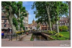 Colmar