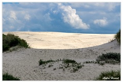 Rabjerg-Mile Dune-Blanche DSC 0174