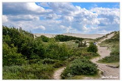 Rabjerg-Mile Dune-Blanche DSC 0172