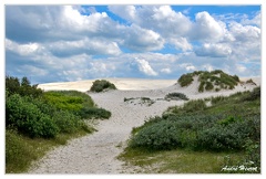 Rabjerg-Mile Dune-Blanche DSC 0175