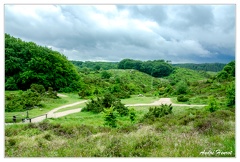 Rebild Bakker Parc National