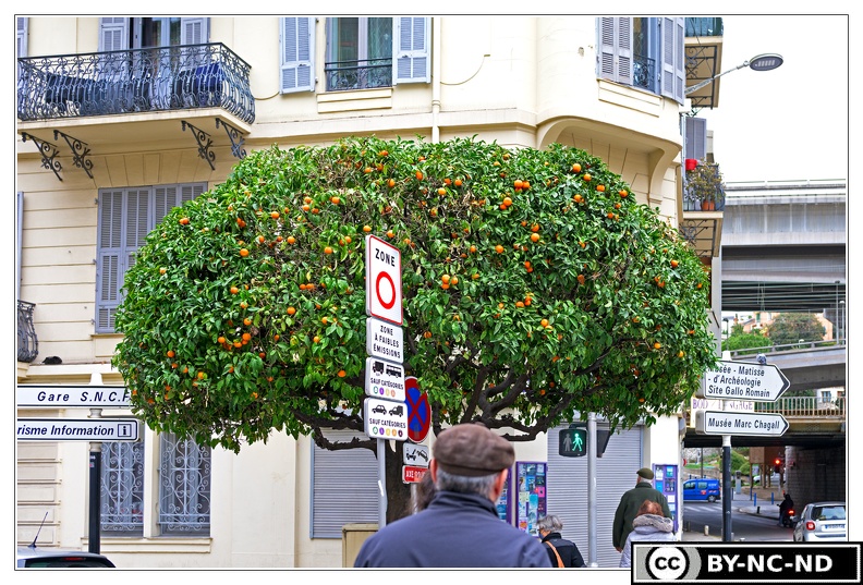 Nice_Vieux-Nice_Oranger_DSC_0335.jpg