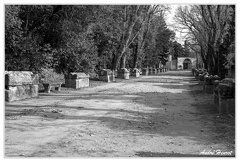 Arles Alycamps&amp;Cimetiere-romain DSC 9265 N&amp;B