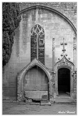 Arles Alycamps&amp;Eglise-Saint-Honorat DSC 9254 N&amp;B
