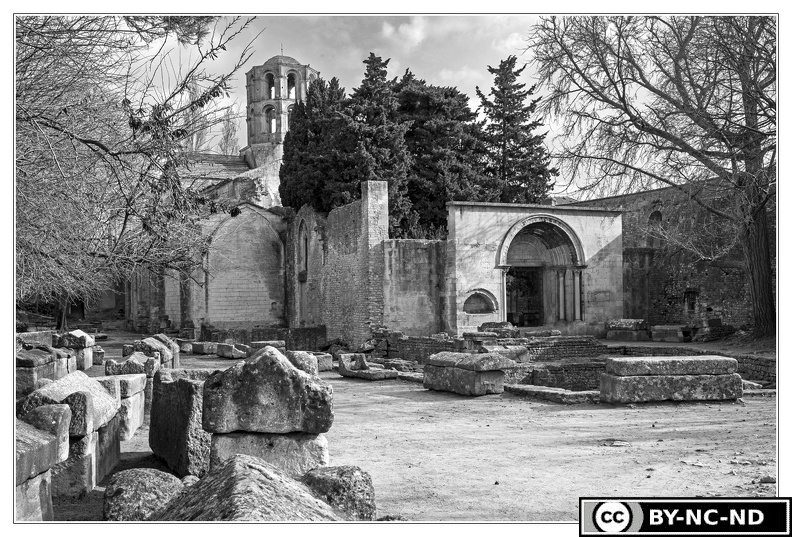 Arles_Alycamps&Eglise-Saint-Honorat_DSC_9262_N&B.jpg