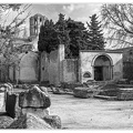 Arles Alycamps&Eglise-Saint-Honorat DSC 9262 N&B