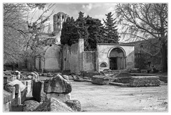 Arles Alycamps&amp;Eglise-Saint-Honorat DSC 9262 N&amp;B